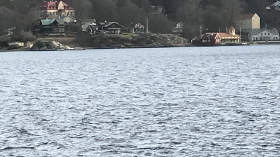 Omgivningen