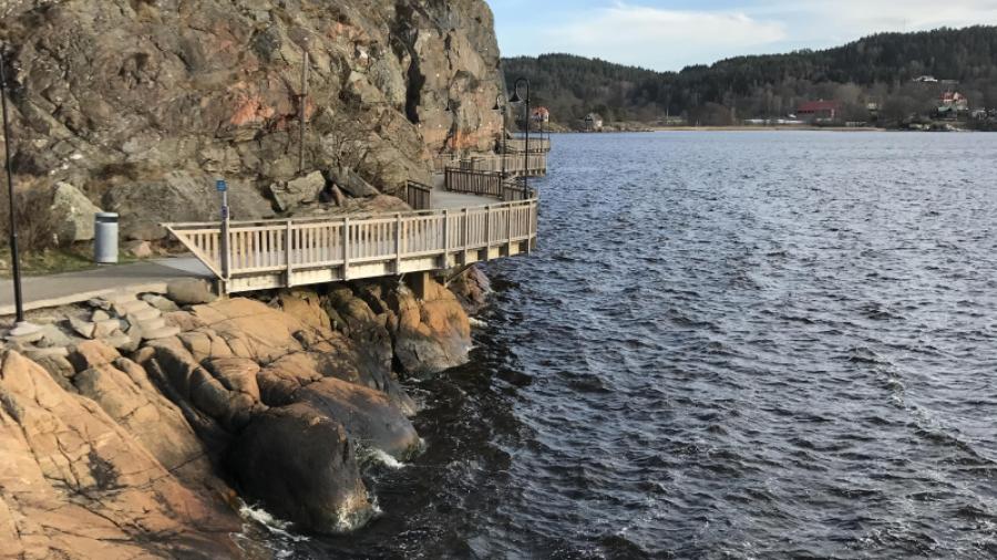 Omgivningen